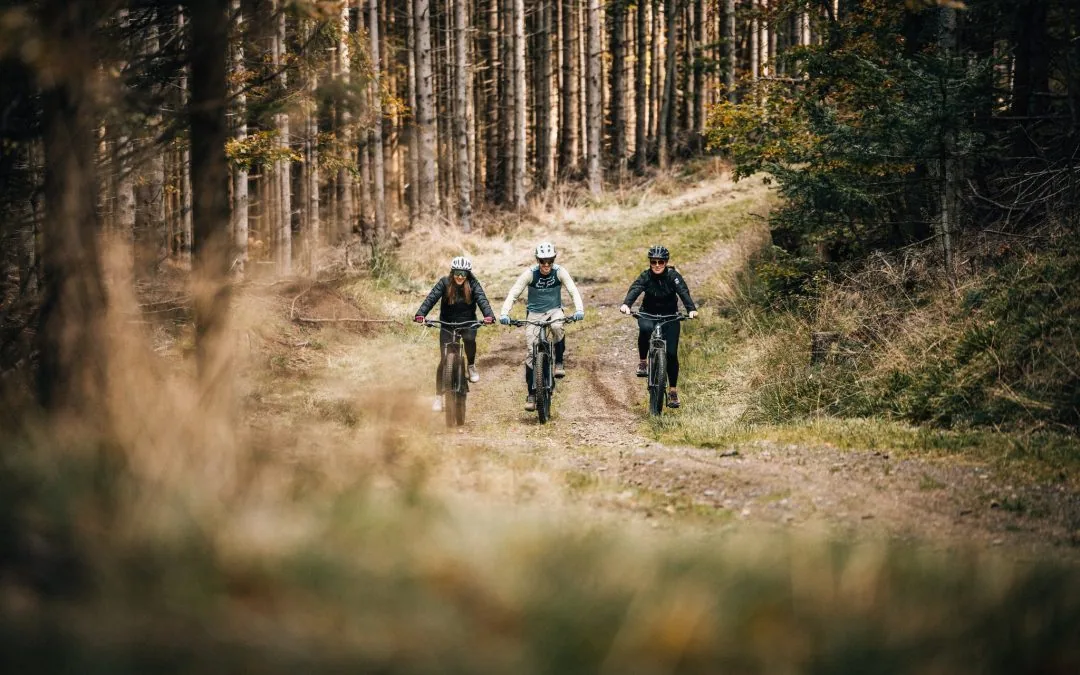 E-Bike & Picnic on Pohorje: official gallery photo 2.