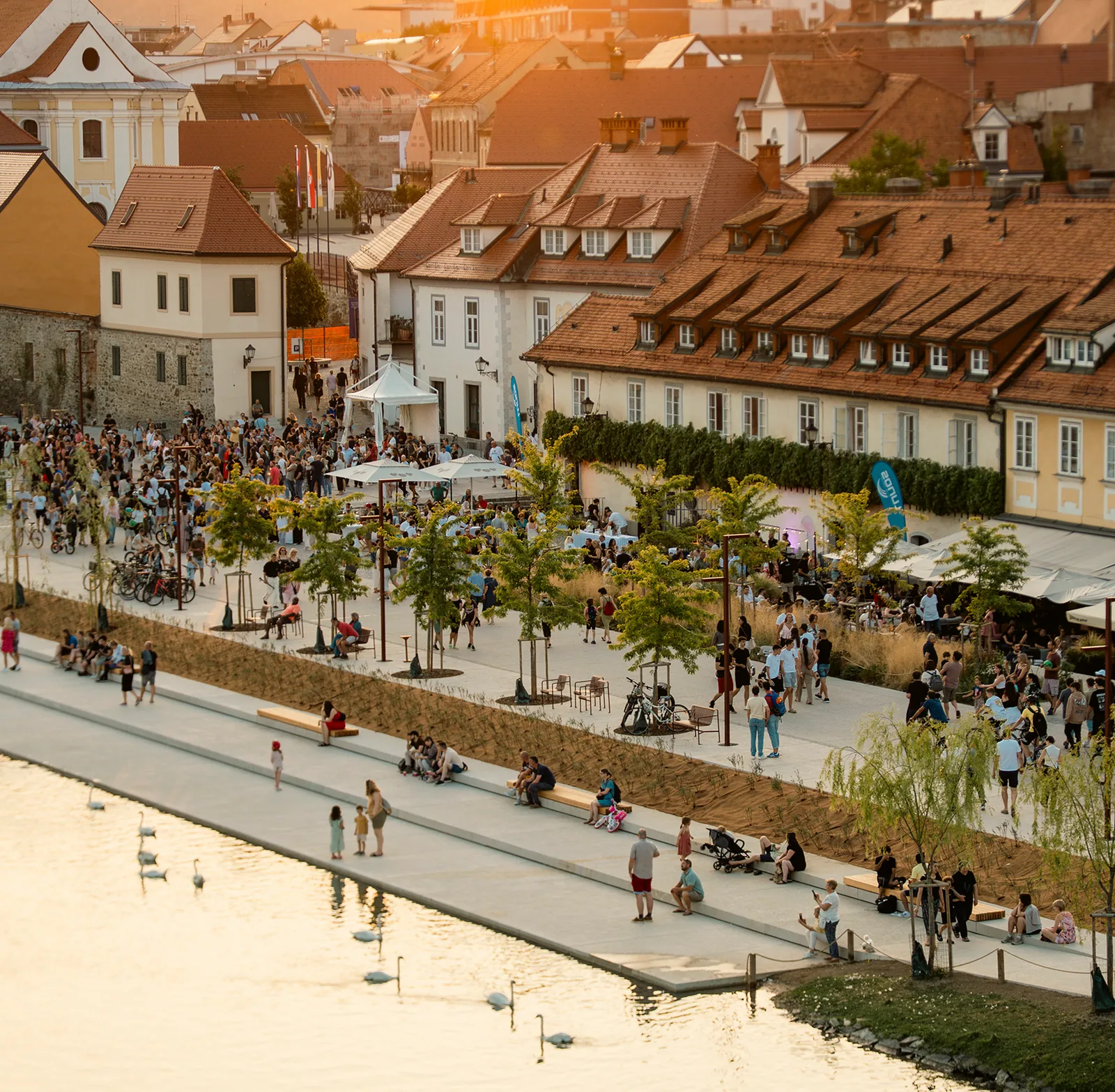 Gondola, Maribor Old Town & The Old Vine: official gallery photo 2.