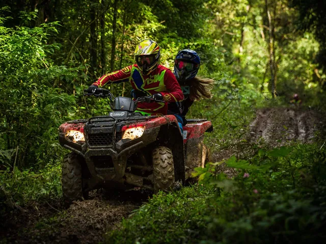 Guided quad tours