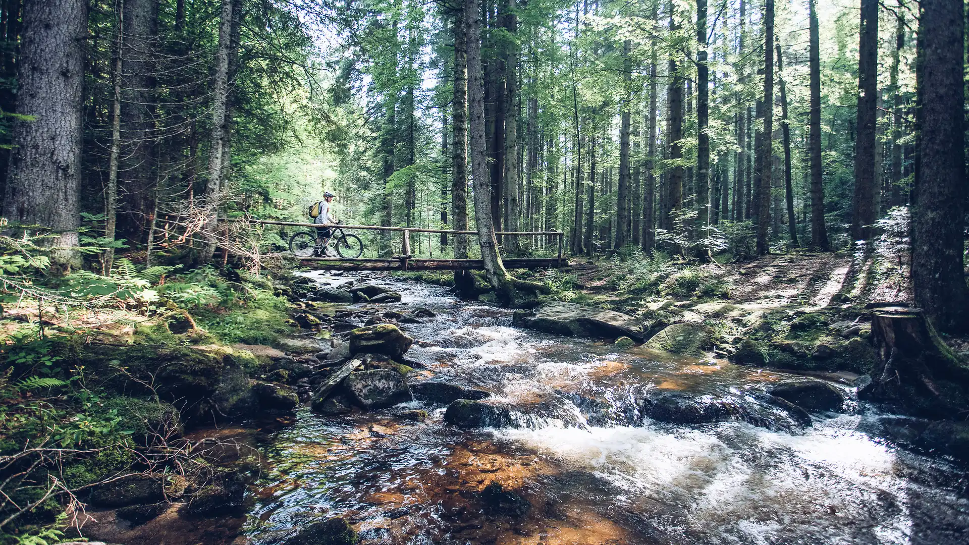 Mountain biker crossing a stream bridge in Pohorje forest.