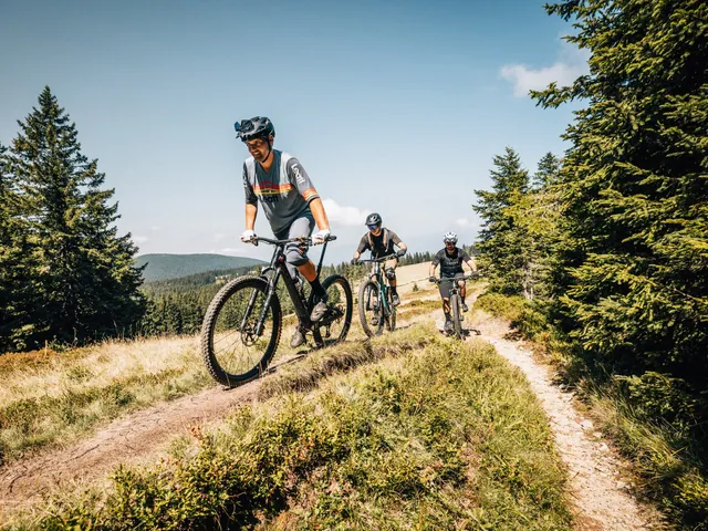 Guided Bike Ride: Pohorje Explorer