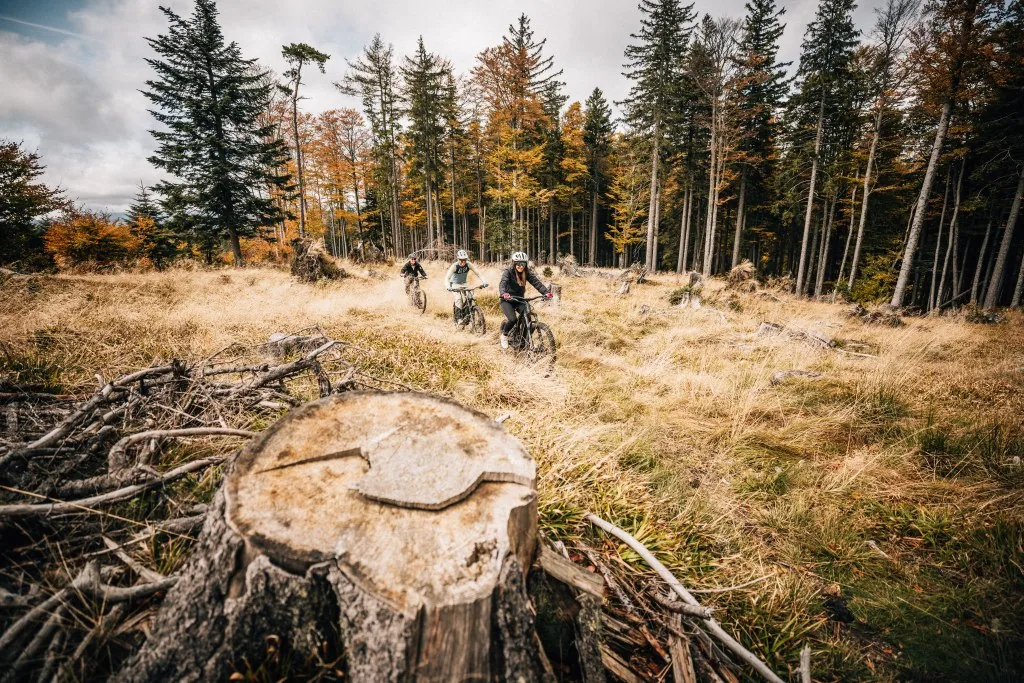 Pohorje-Kozjak Trail: Stage 2: official gallery photo 2.