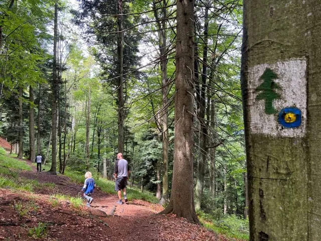 Rozkina Forest Learning Trail