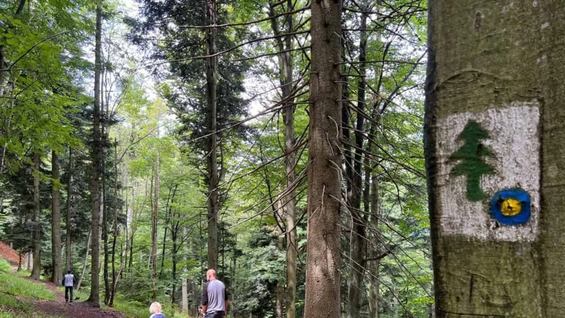 Rozkina Forest Learning Trail