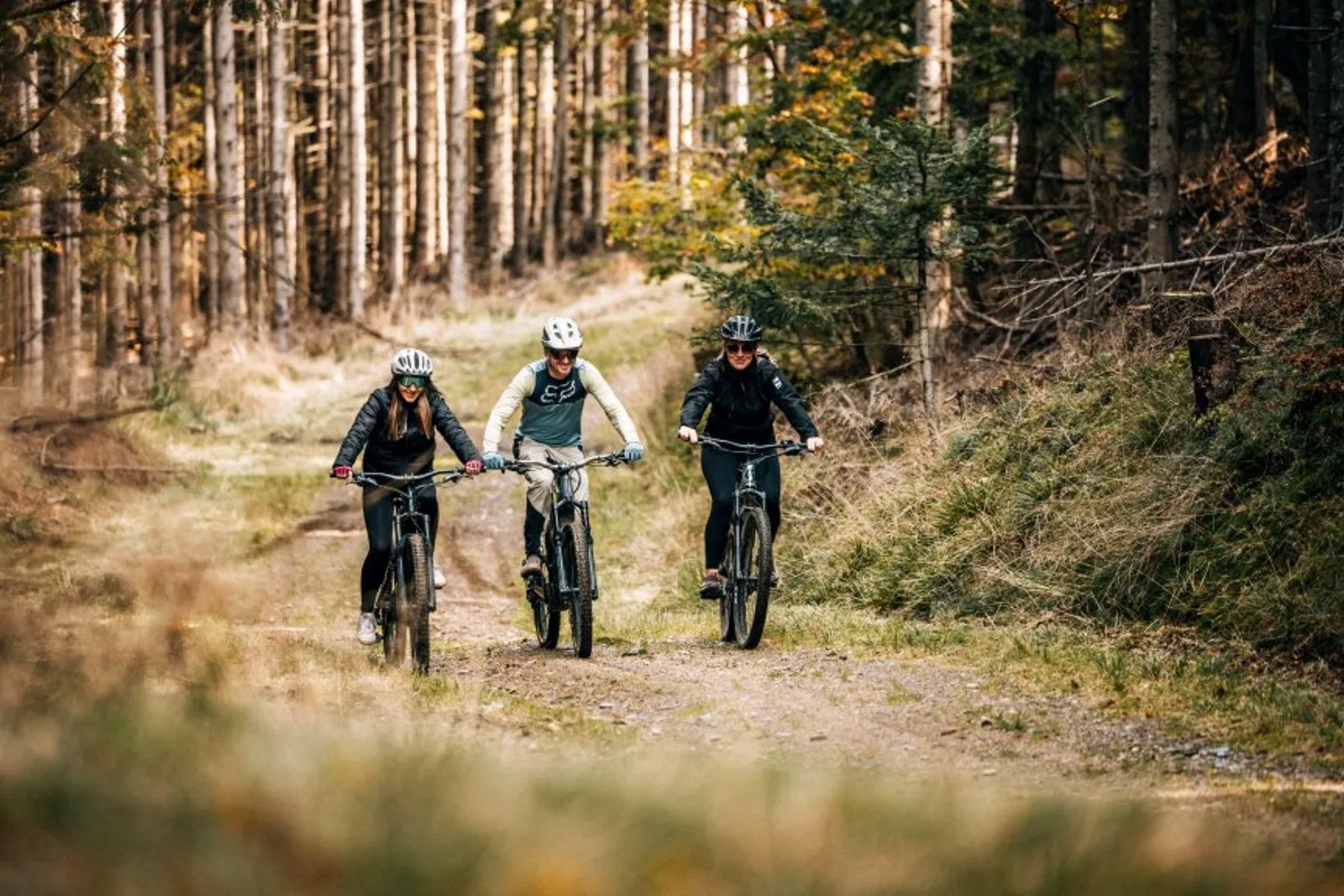 A quiet Pohorje forest track in warm late-season light