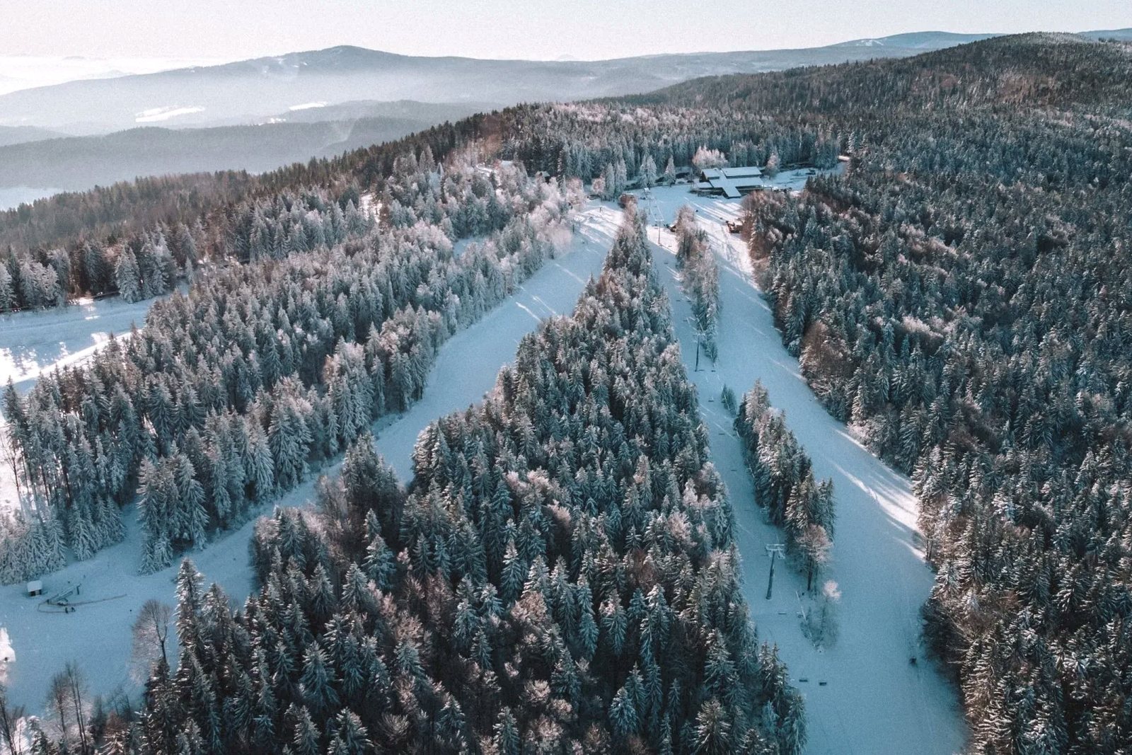 Snow-covered spruce trees on Pohorje