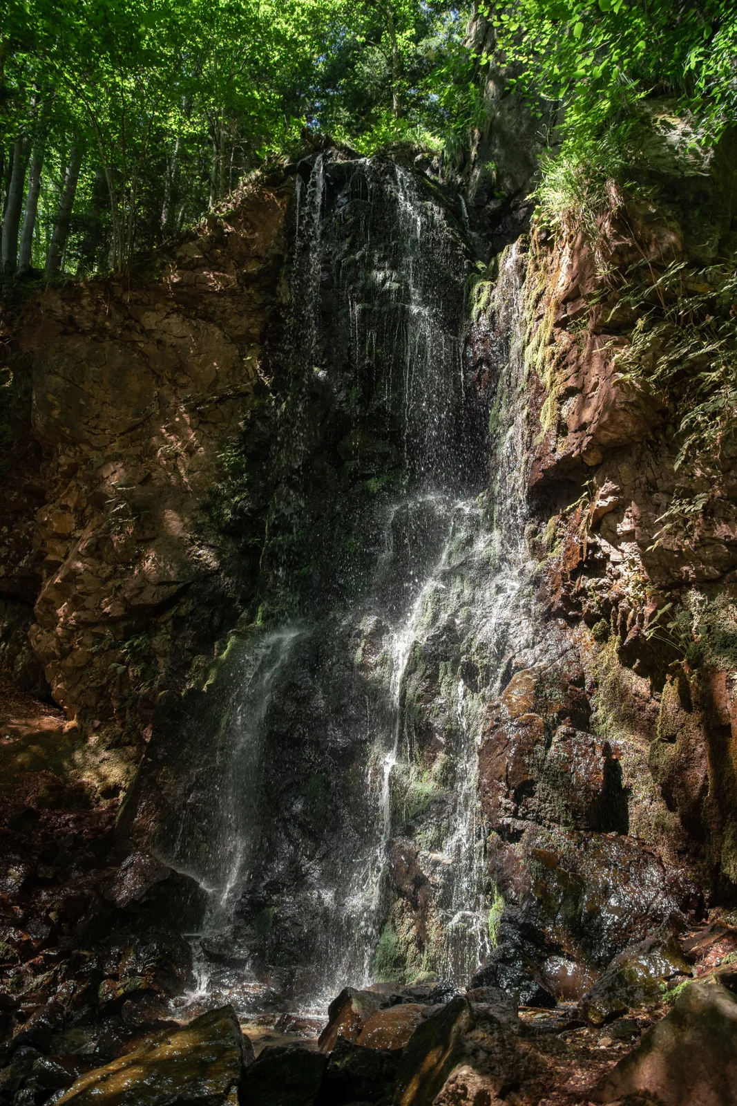 Skalca Waterfall & Slow Forest Walk: official gallery photo 1.