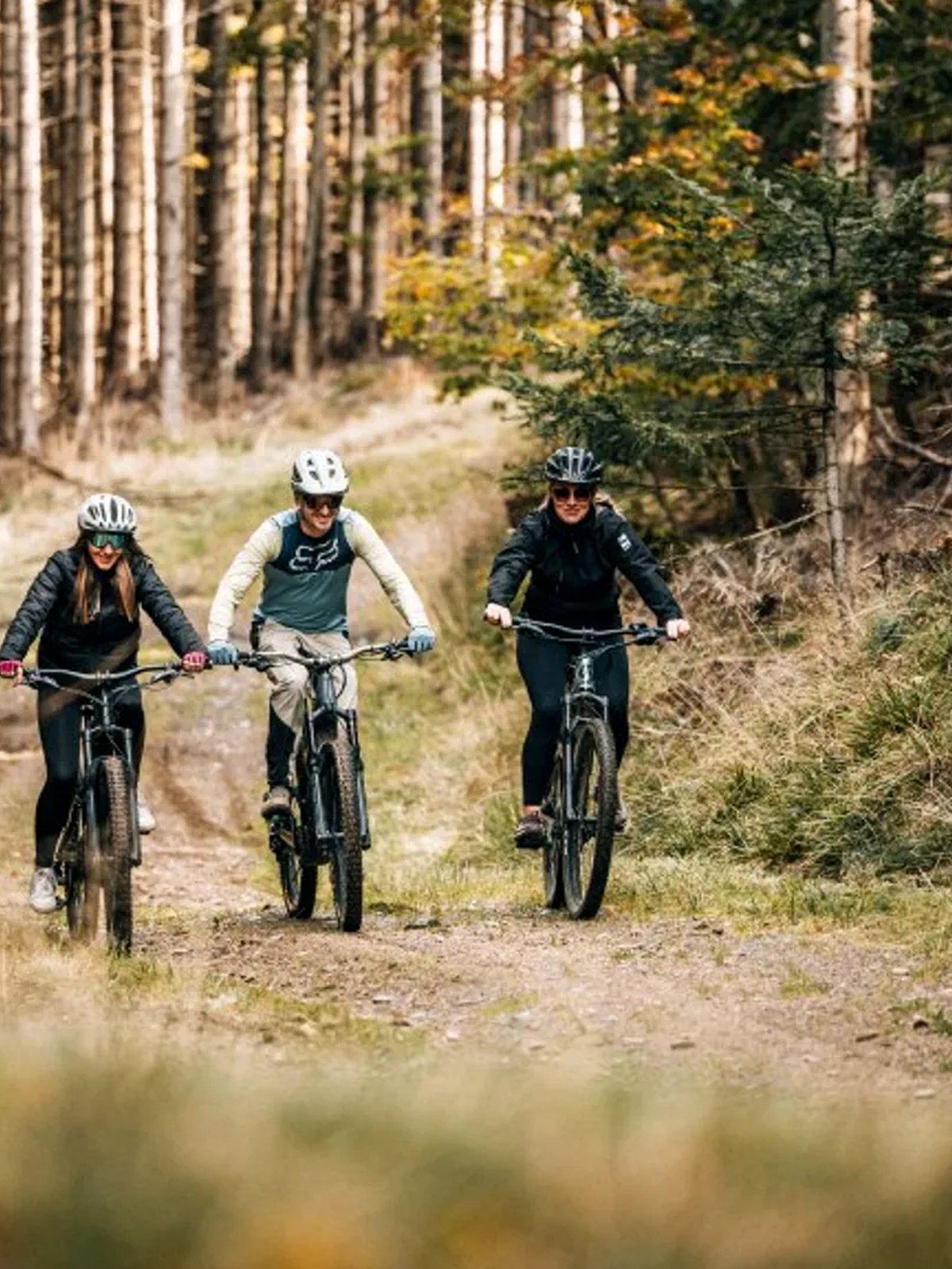 A quiet Pohorje forest track in warm late-season light