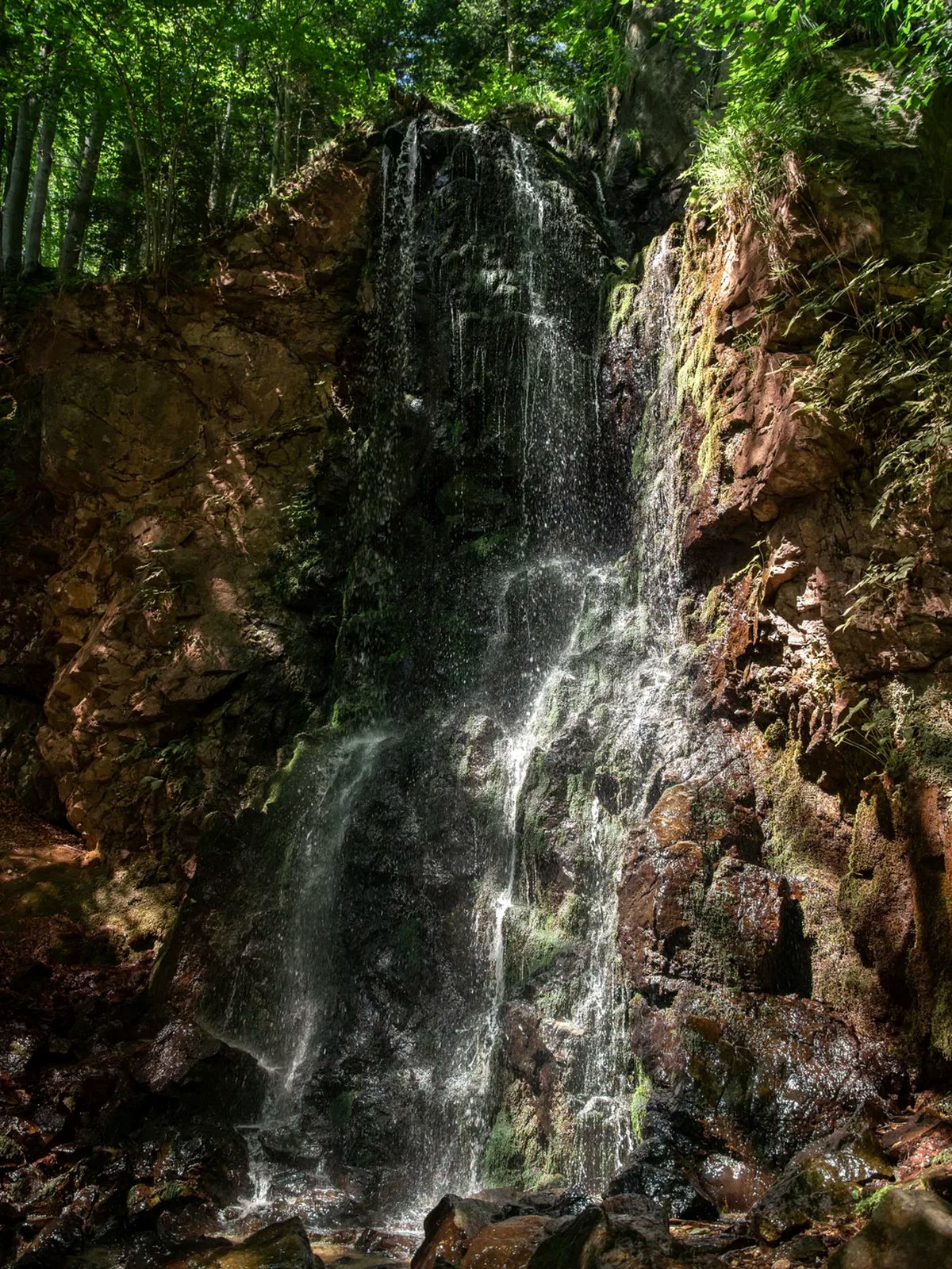 Skalca Waterfall in a green spring forest