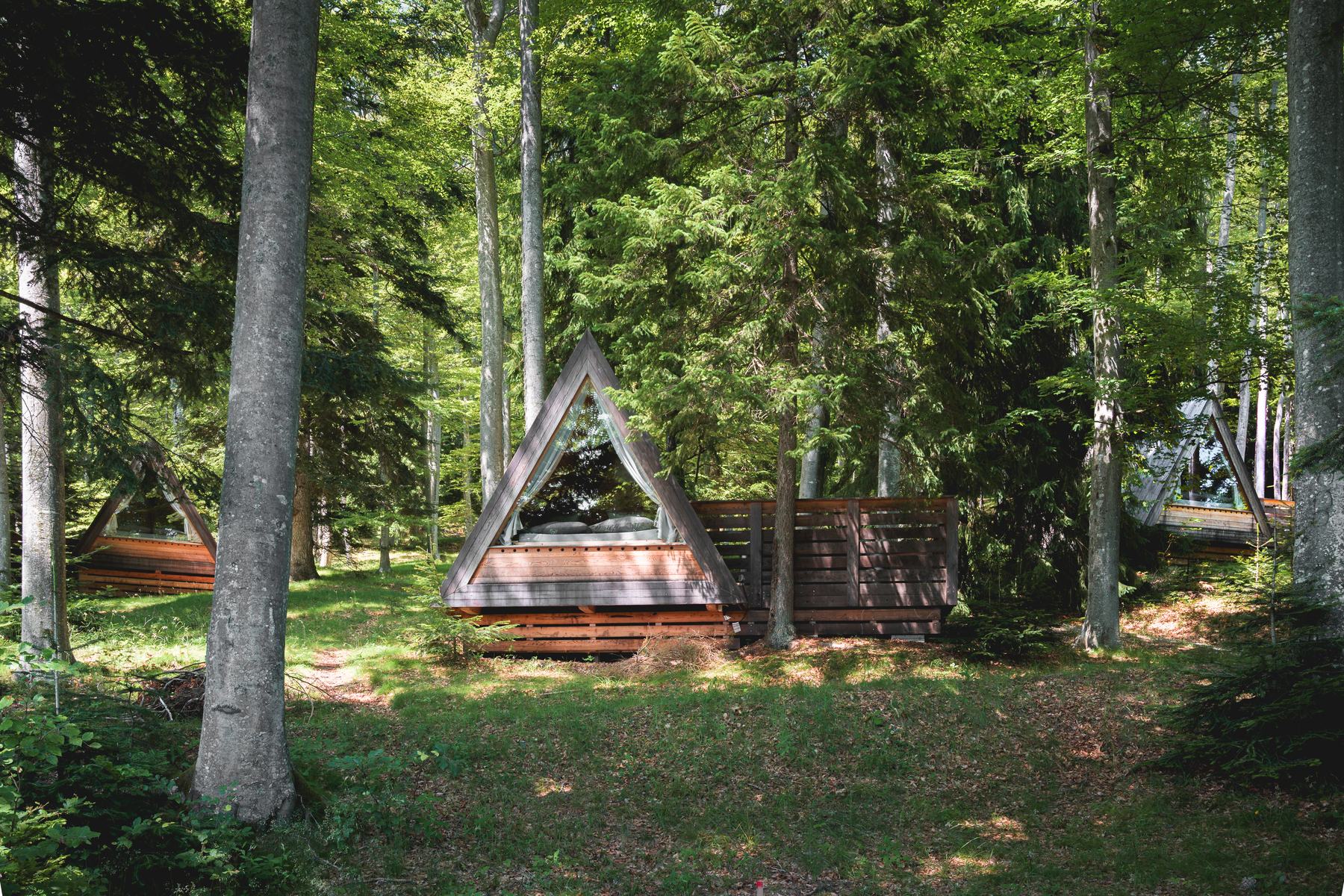 Cabin 2 — A-frame wooden exterior in the forest
