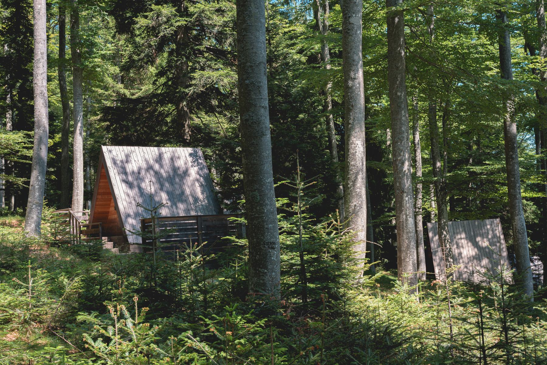 Cabin 5 — A-frame exterior in the forest